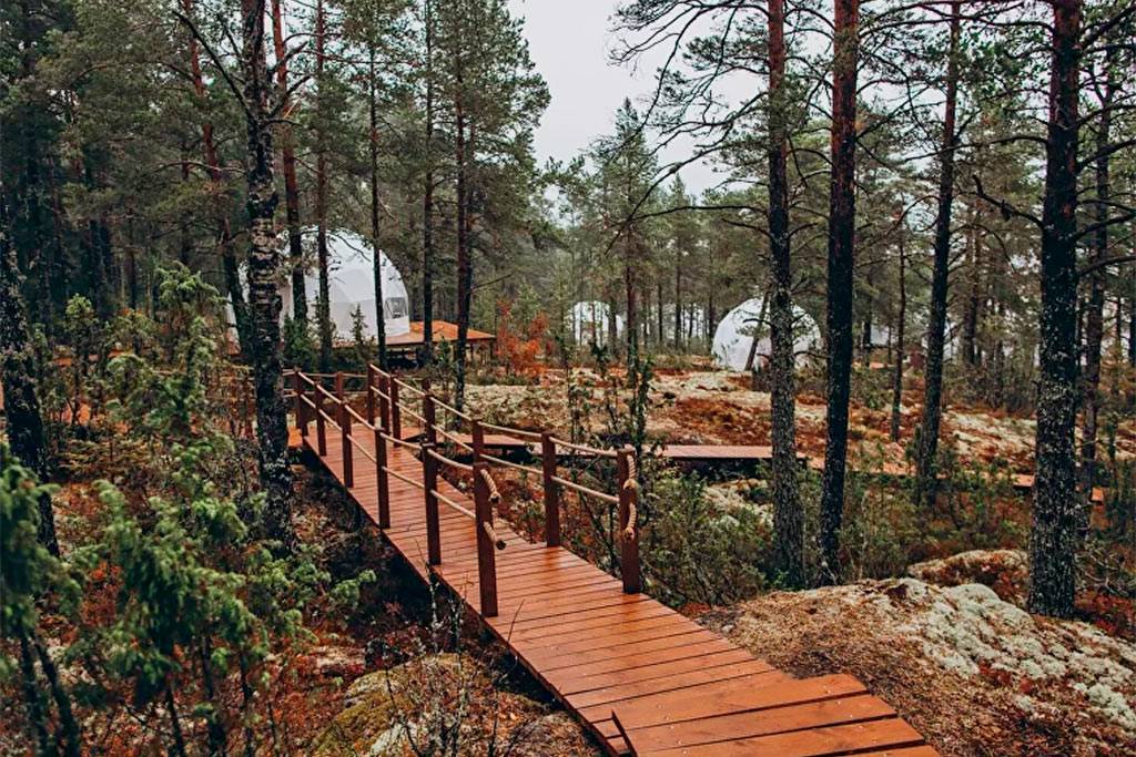 «Lago Ladoga»