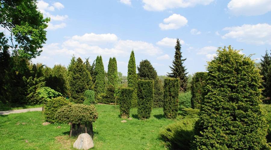 Ботанический сад, Минск