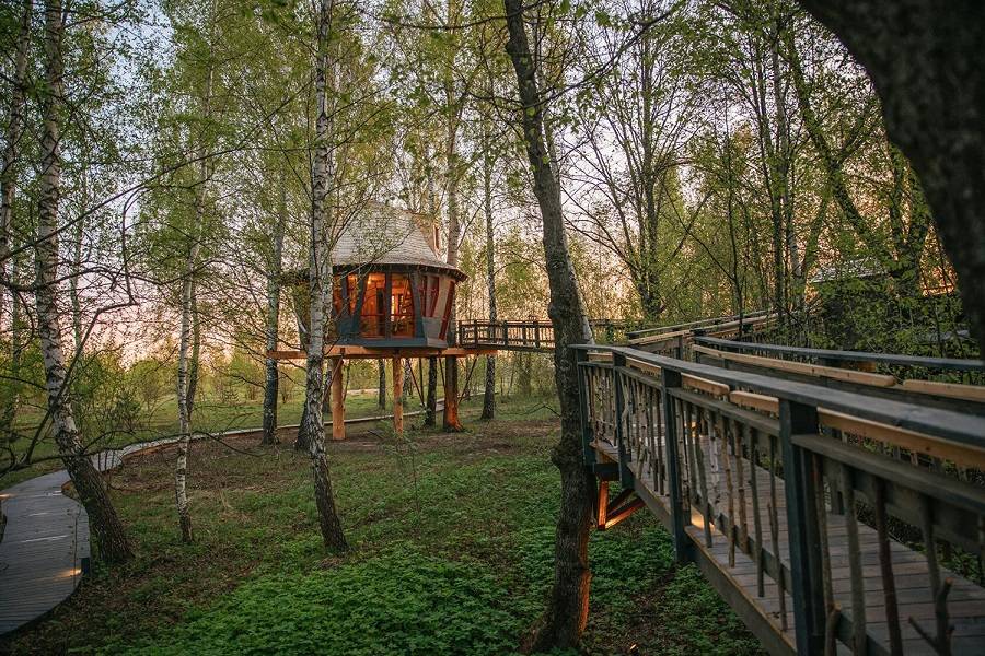 Лапочкино гнездо