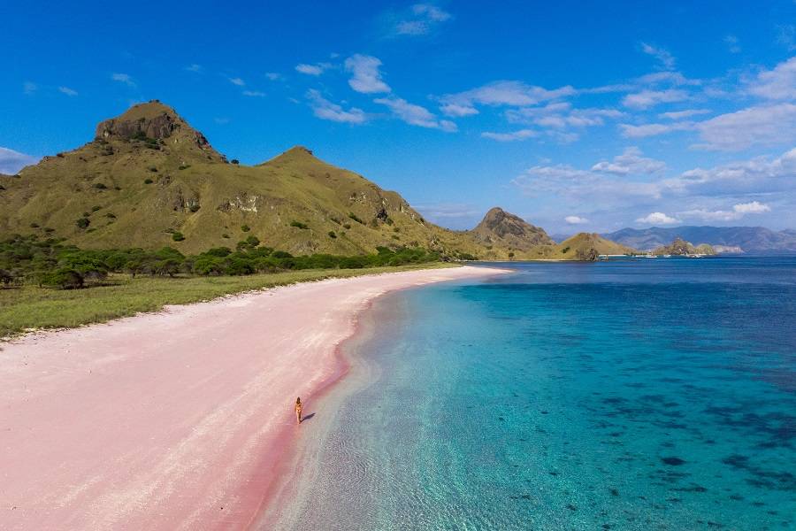 Розовый пляж Комодо, Индонезия