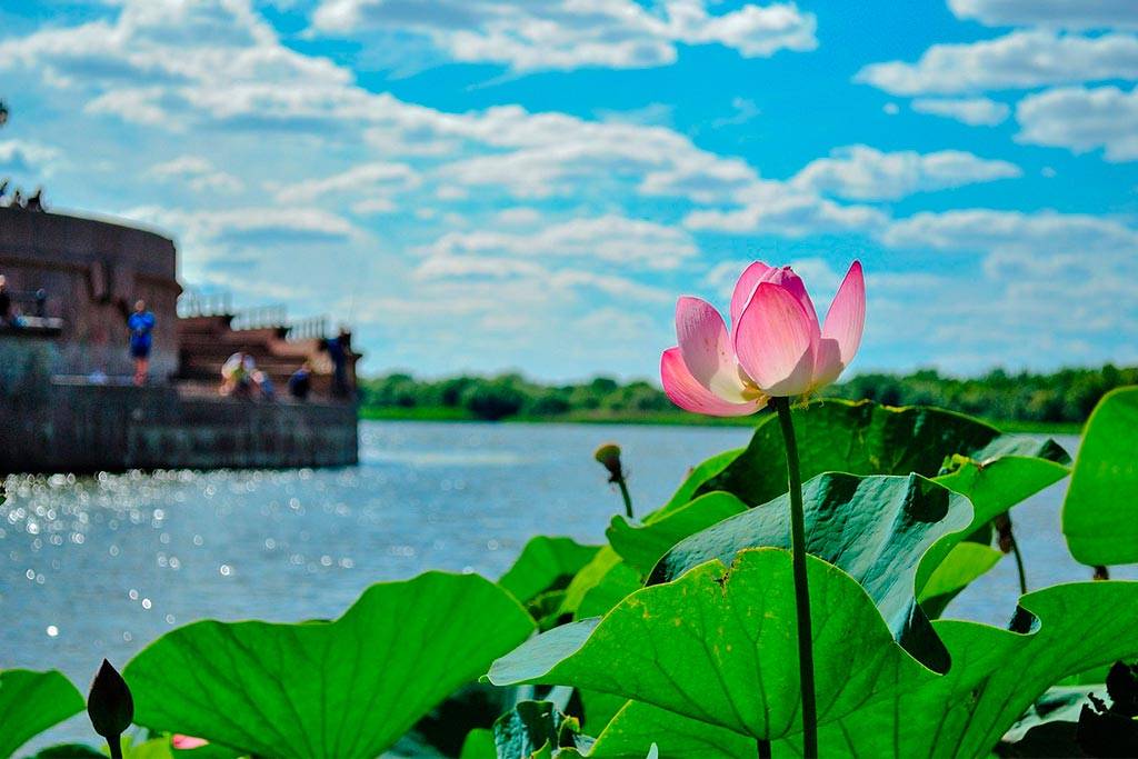 Астраханская область