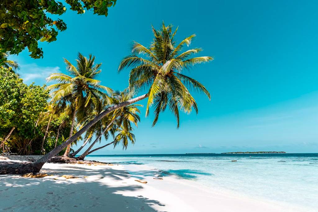 В какие страны можно лететь из России сейчас